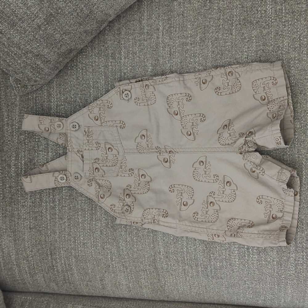 Carter's Overalls